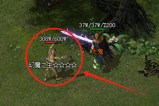 幻魔之主怪物截图 幻魔之主怪物截图